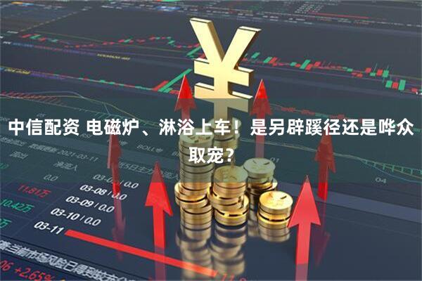 中信配资 电磁炉、淋浴上车！是另辟蹊径还是哗众取宠？