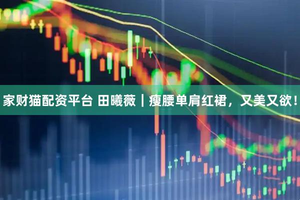 家财猫配资平台 田曦薇｜瘦腰单肩红裙，又美又欲！