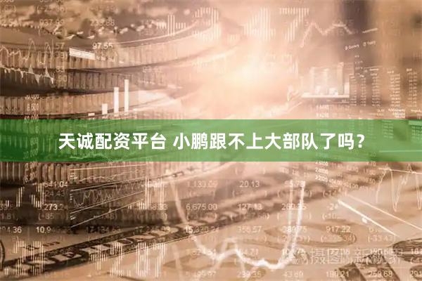 天诚配资平台 小鹏跟不上大部队了吗？